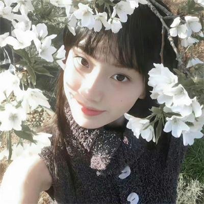 动物园真相第二季